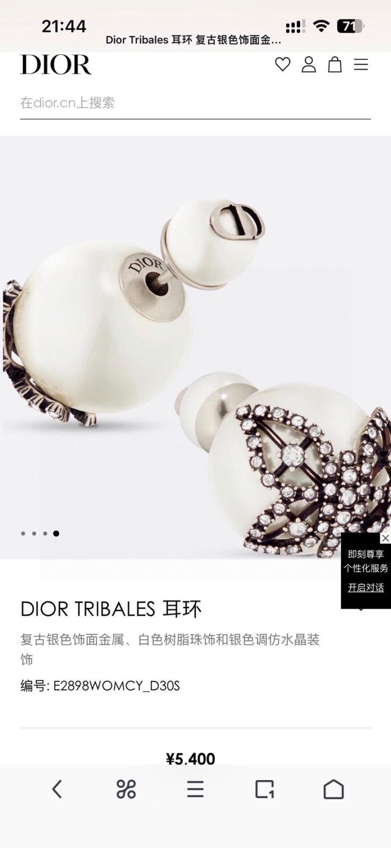 Christian Dior Earrings